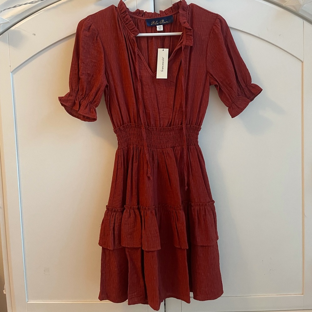 NWT Francesca’s Long Sleeve Burnt Orange Dress